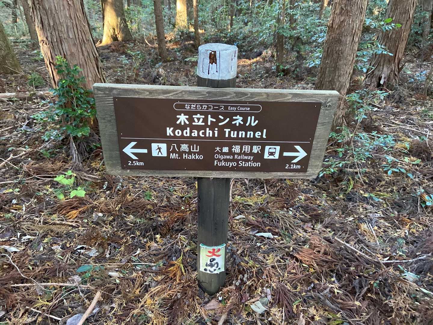 往路は、急斜面コースで登ってきたので、
復路は、なだらかコースで。

しかし、このなだらかコースは曲者、当然ですが距離が長ーい😆