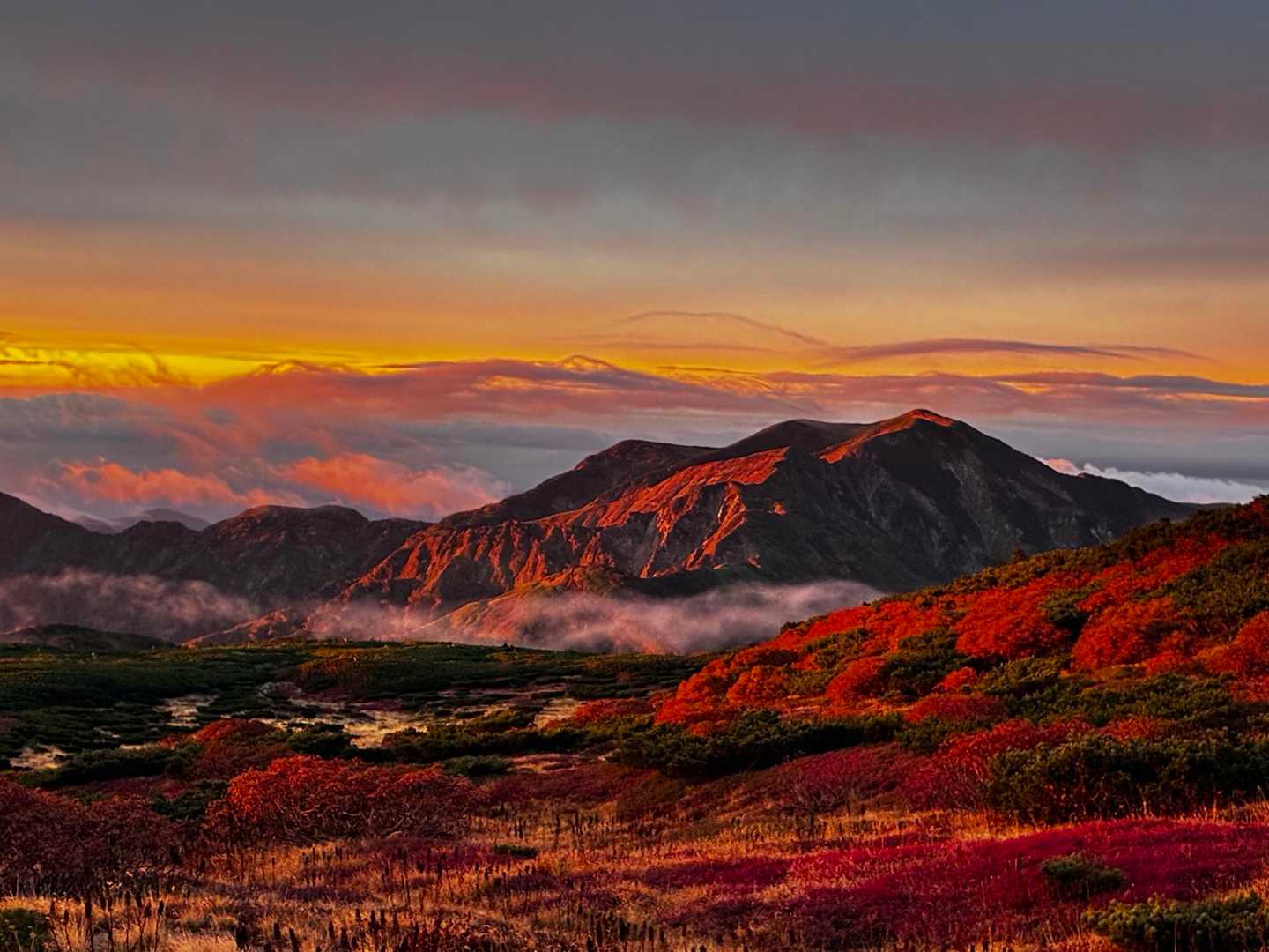 霊峰白山と絶景アルプス展望ルート / まひろの登山データ | YAMAP