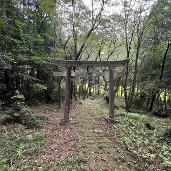 無事下山〜😮‍💨
怖かったけど頑張って良かった

この後、車で御止山へ向かう途中、
なんとmorikoさんにお会いしました😊💕
またお会いできるなんて嬉しすぎます♡

そして御止山は…
金さんやMさんのように忍法瞬殺GETしたのですが🥷
なんと軌跡を間違えて削除してしまいました😢
今回は残念でしたが観光も兼ねて
またチャレンジしたいと思います😊
ご覧いただきありがとうございました(⋆ᴗ͈ˬᴗ͈)”