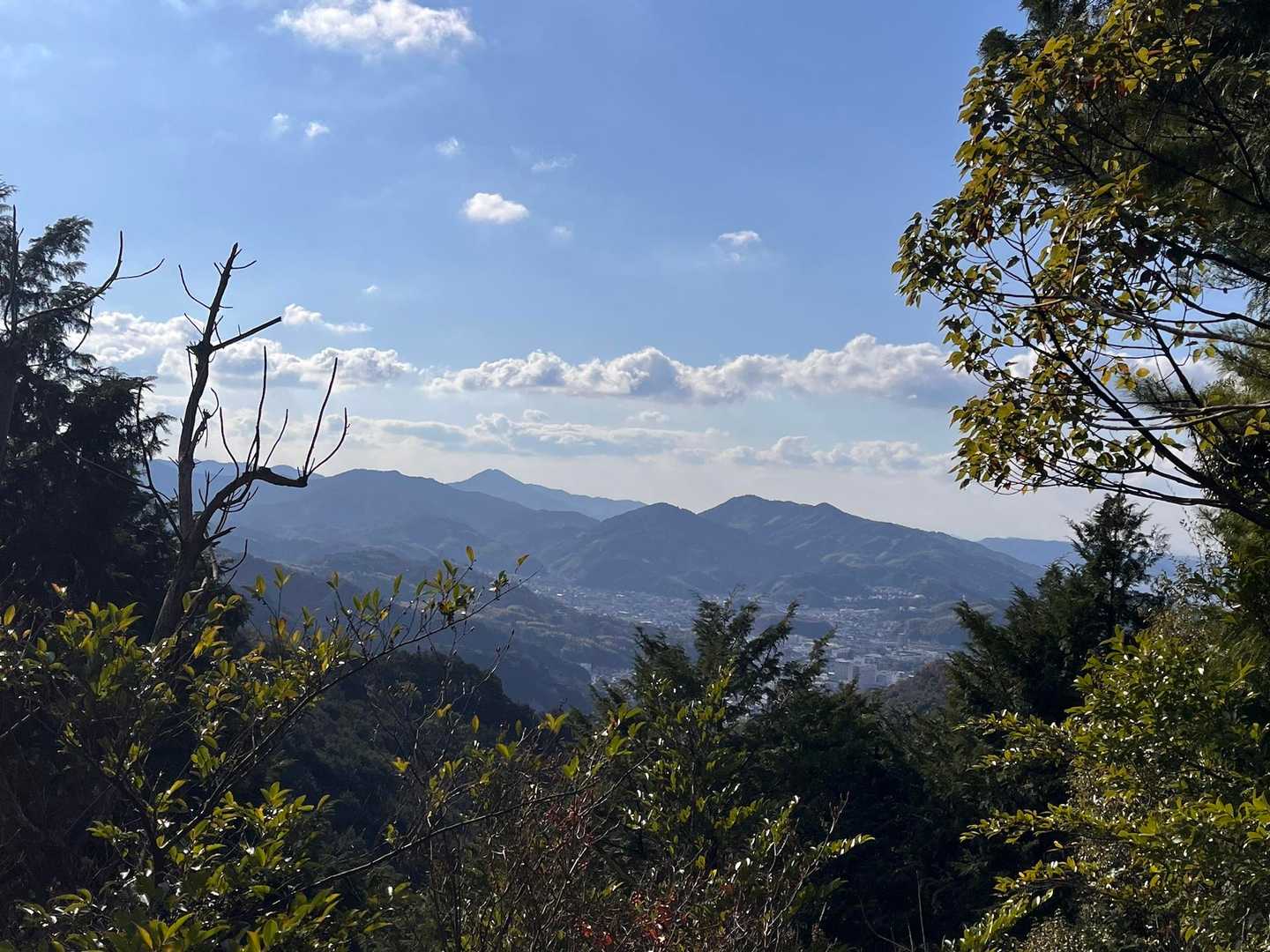 四本松-尻割山 往復コースの写真
