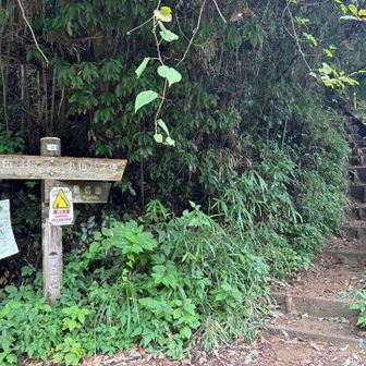 小仏バス停へ下山しました