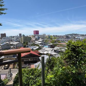 始めのこれがベストな眺望だった