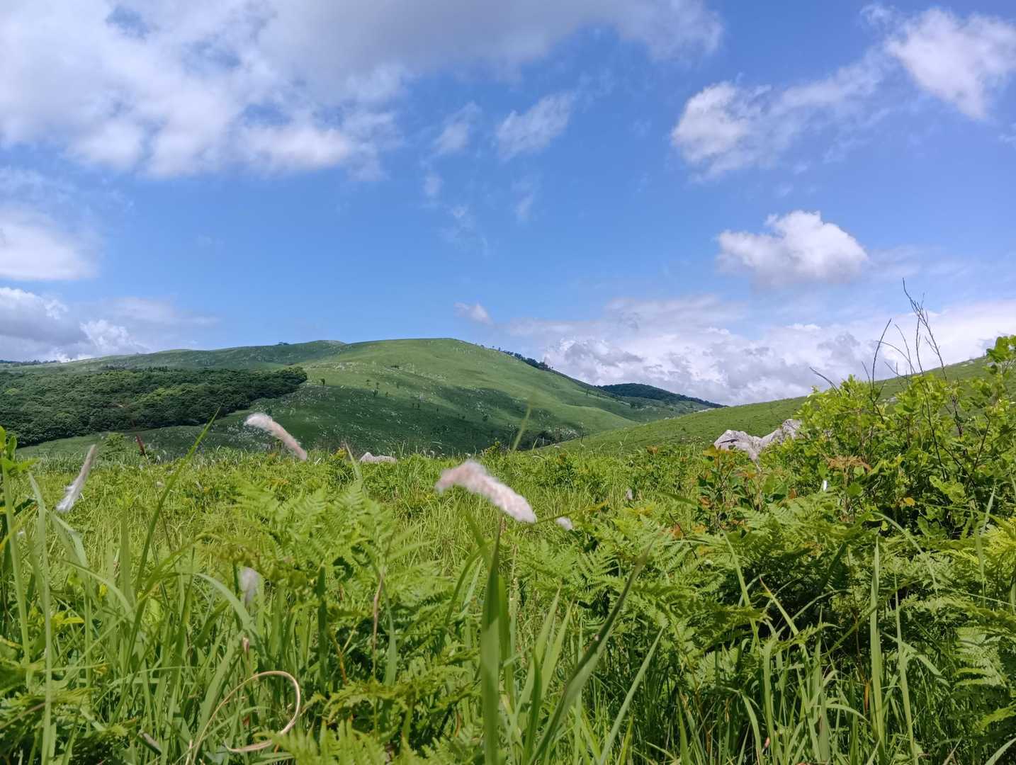 若竹山 周回コースの写真