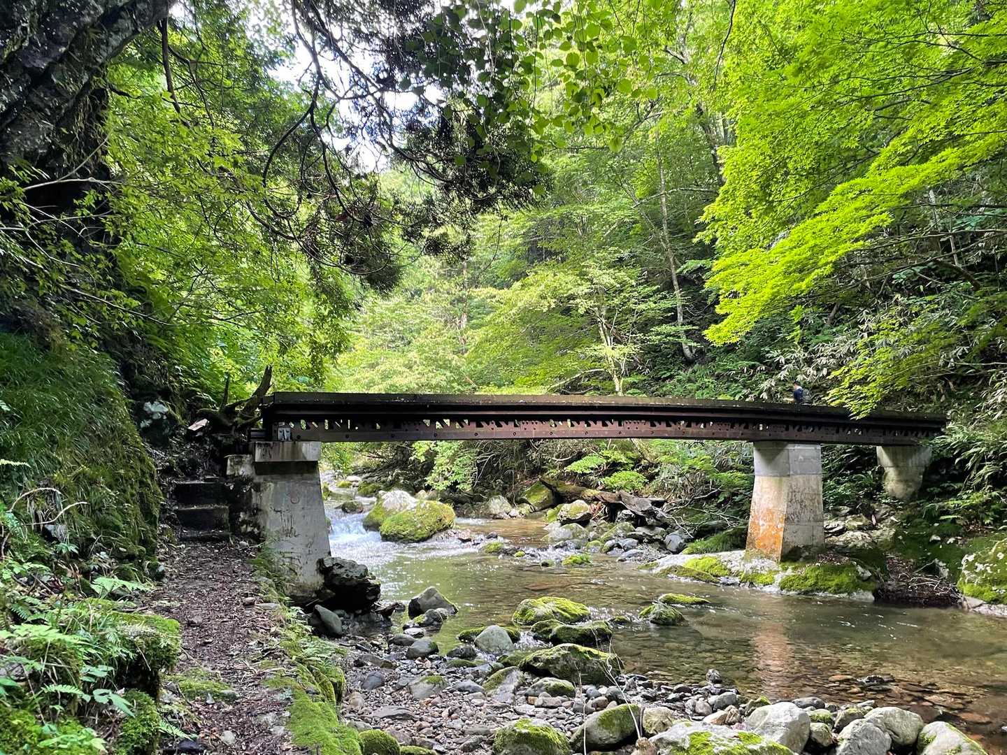 太平山丸舞登山口-太平山 往復コースの写真