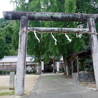 丹生酒殿神社
社名は、丹生都比売神がこの地に降臨したとき、地主神の竈門明神が酒を造り、初めて神前に供えたことに由来する
境内には、文化元(1804)年、世界で初めて乳がんの手術に成功した華岡青洲が寄進した石燈籠がある。銘には天保5(1834)年74歳の時に寄進したとある