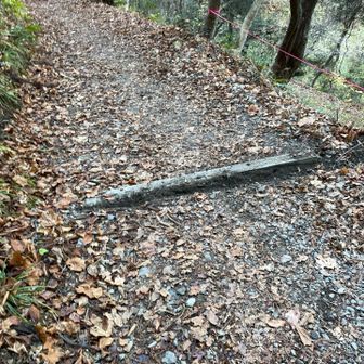 掘ったところです！