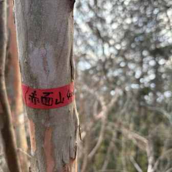 鳥屋山から寄り道