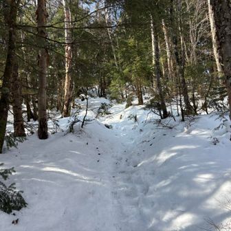 まるっきり雪道
