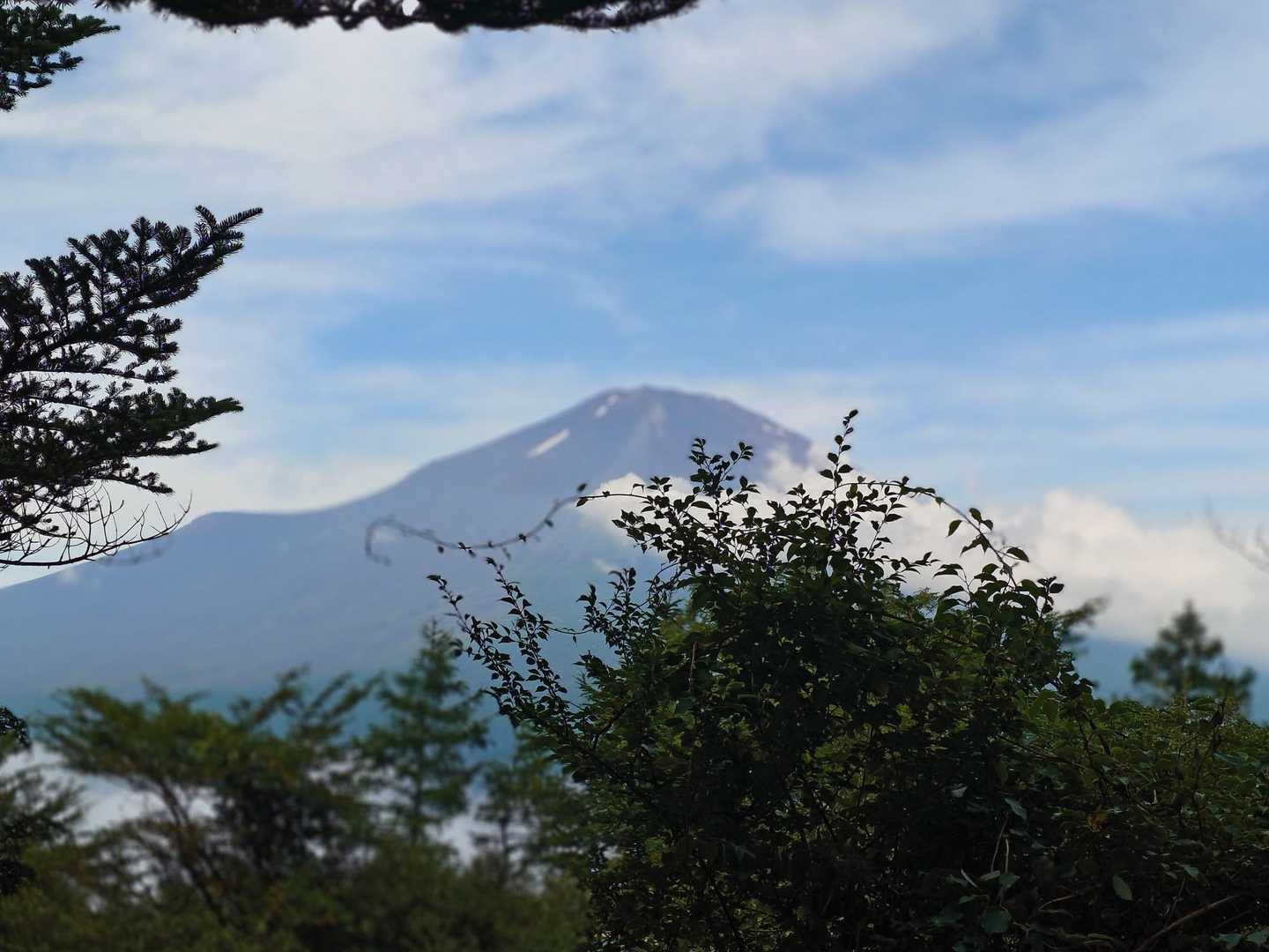 富士箱根トレイル（明神峠〜立山〜冨士浅間神社）の写真