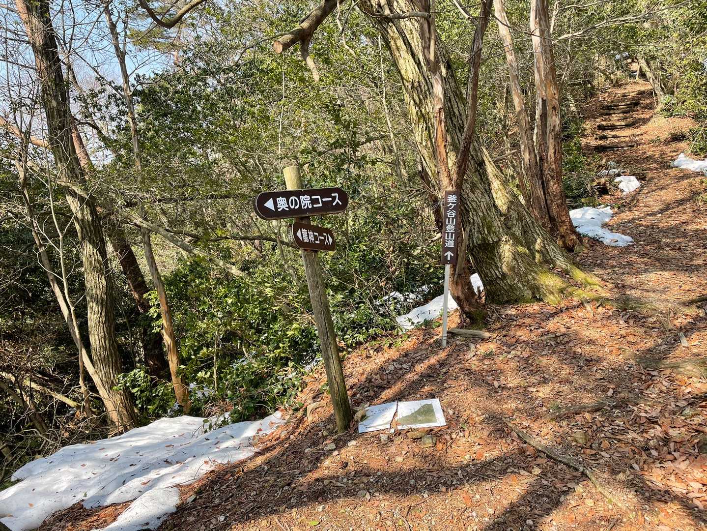 龍神コースとの分岐