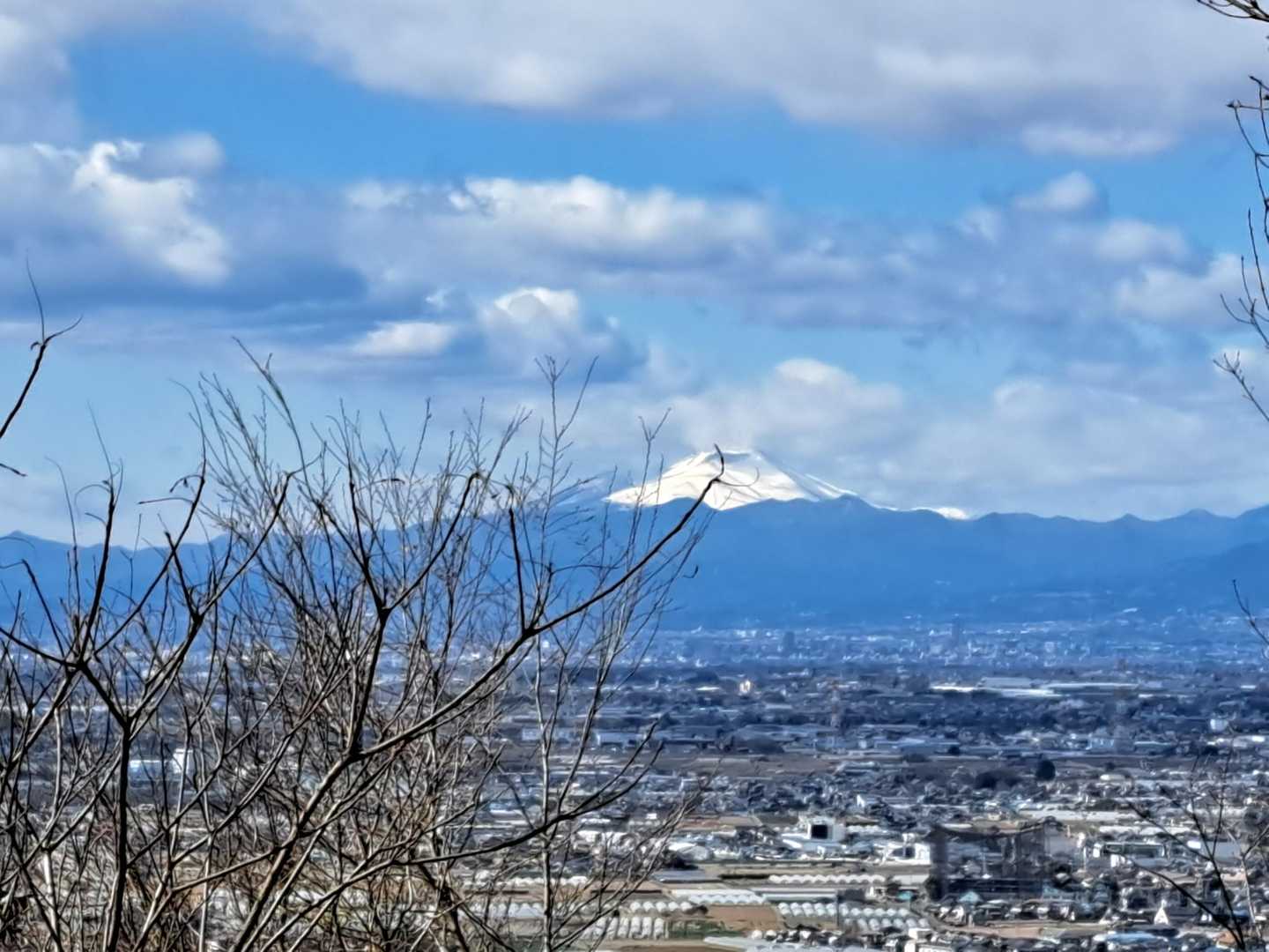 籾山峠-茶臼山 往復コースの写真
