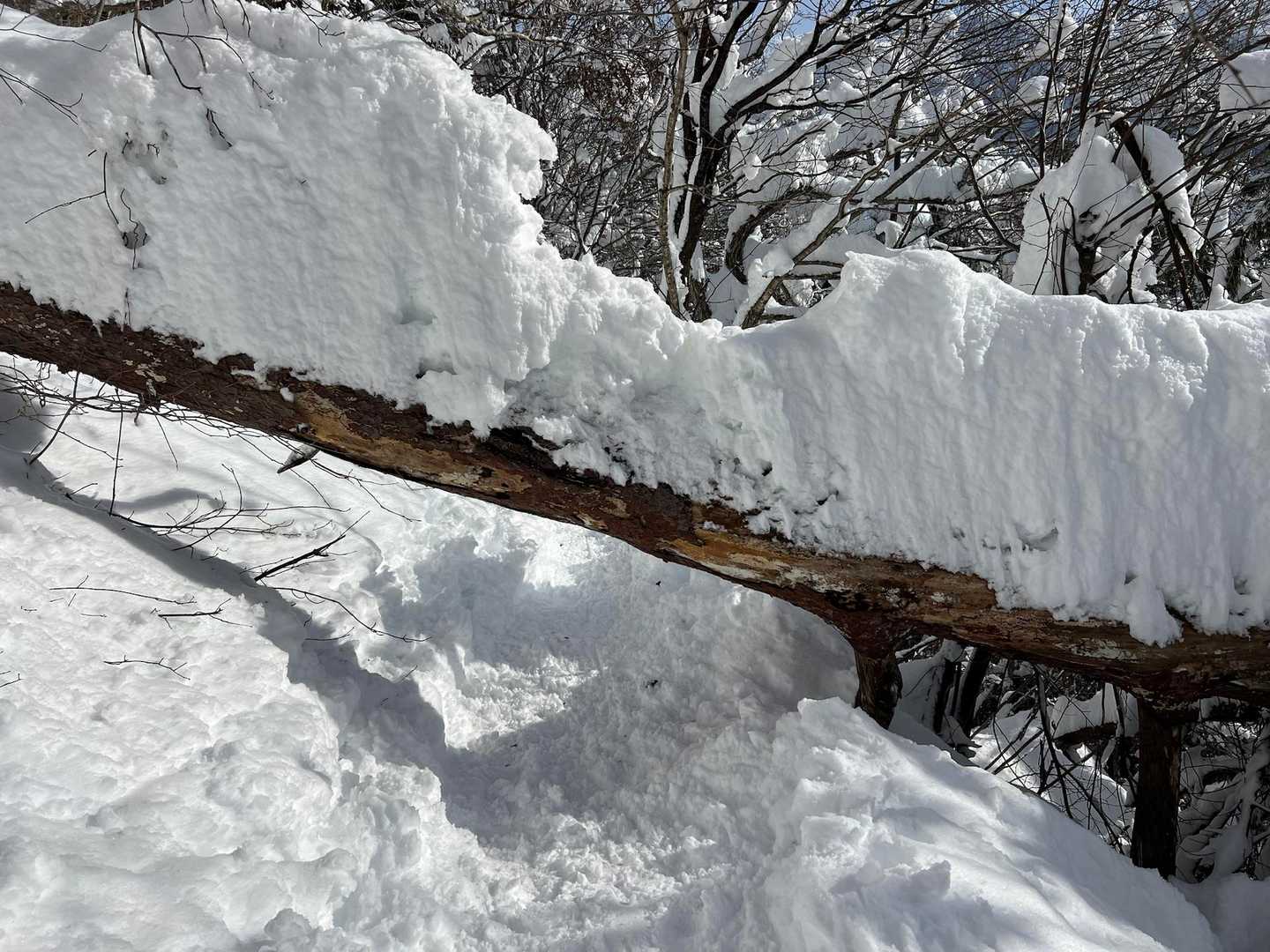 上の部分が削れてるのがまぎらわしいがくぐってOK