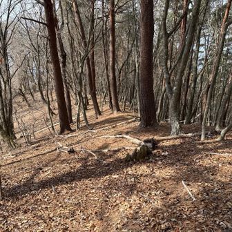 ヤマップ非推奨ルート