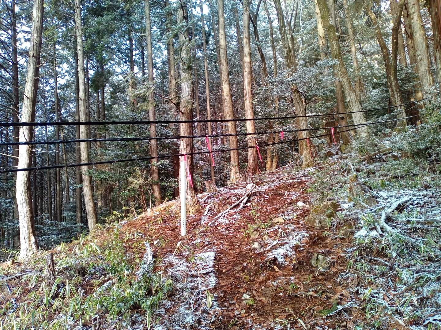 電線が低い🧎