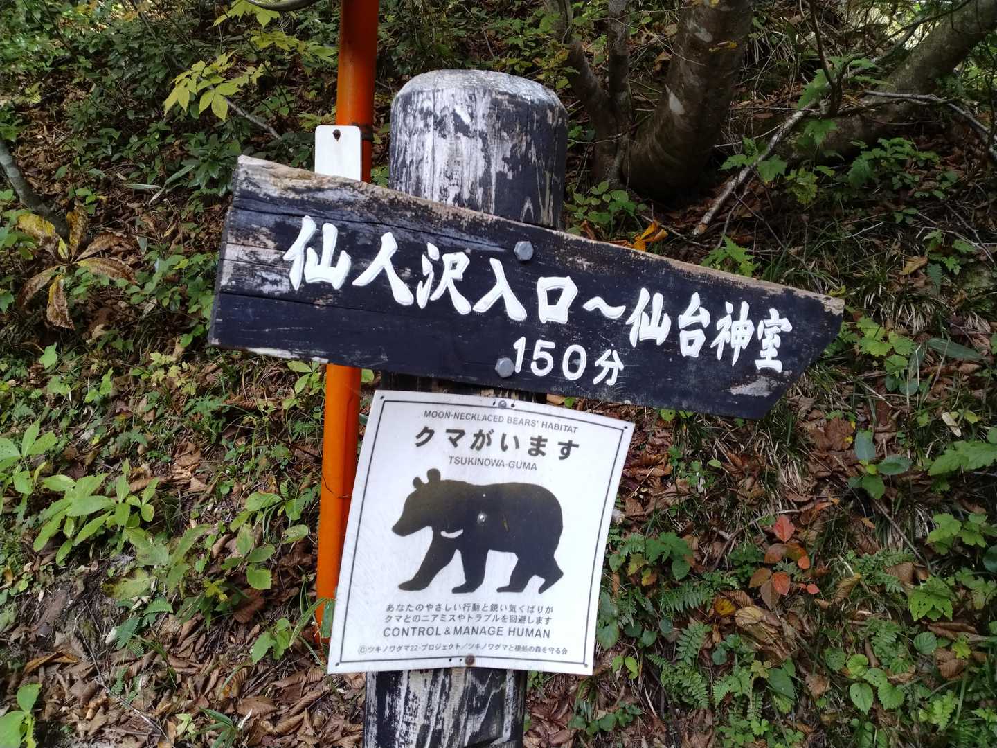 仙人沢入口
熊笛ならす、熊鈴も