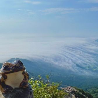 いつものお立ち台から🐸🥳
今日は滝雲😳