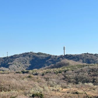 大楠山もすぐ近く