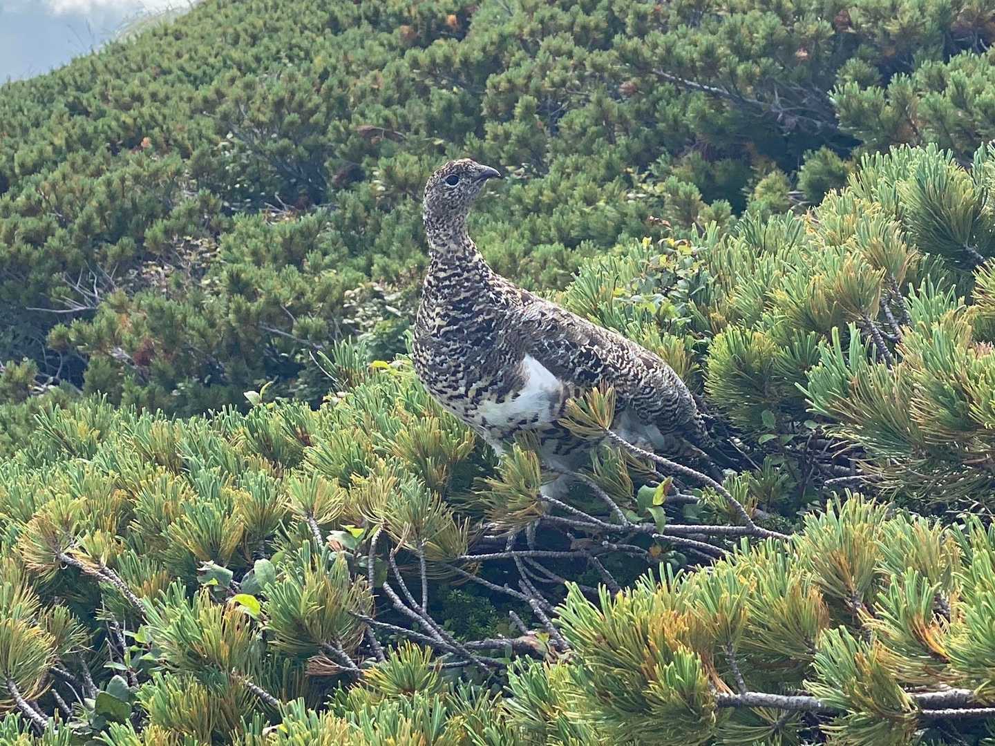 かっこかわいい😍