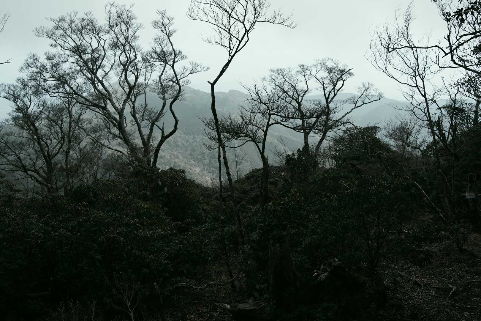 ここが眺望ポイントです。