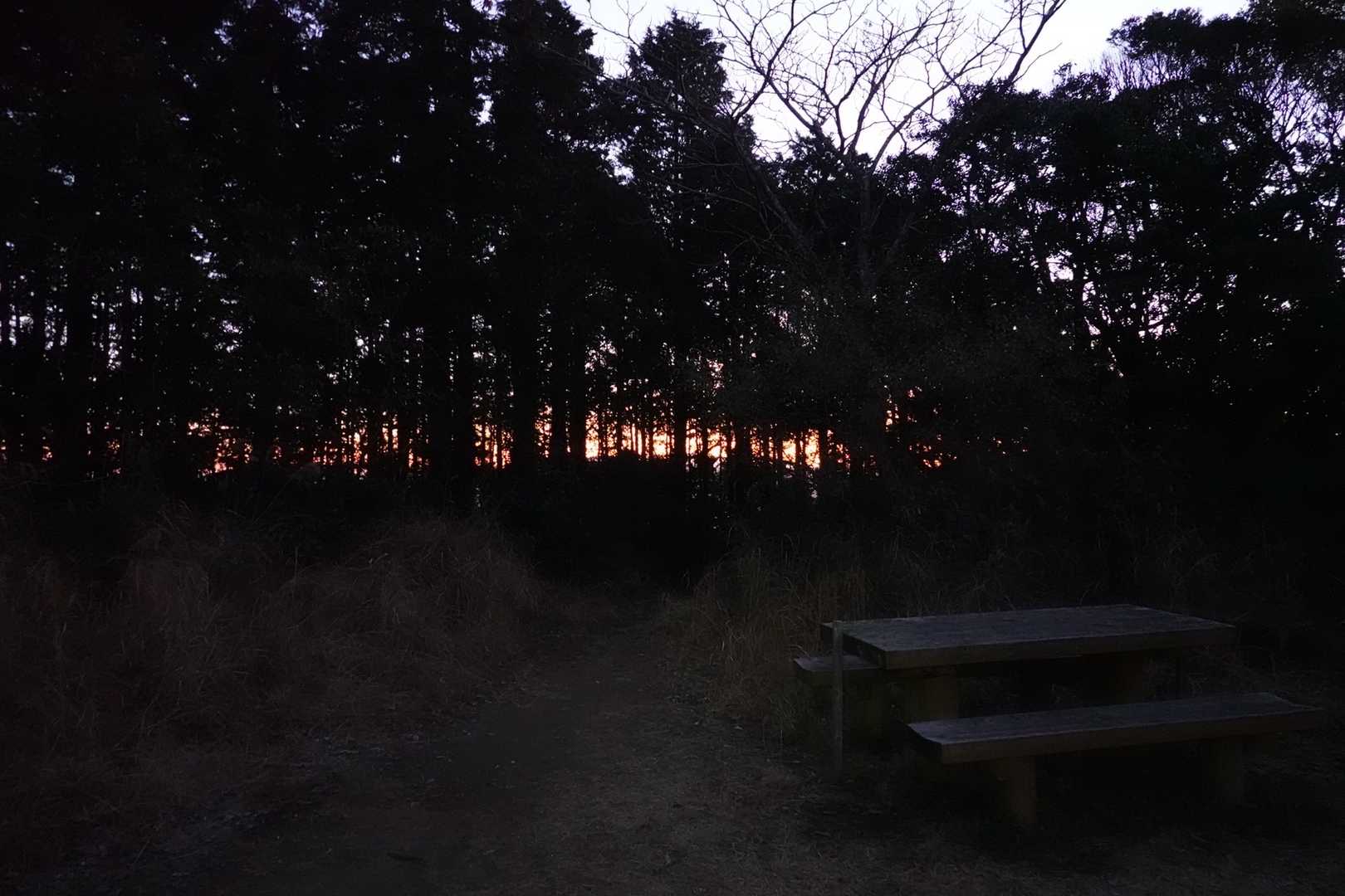 振り返ると明るくなってきています