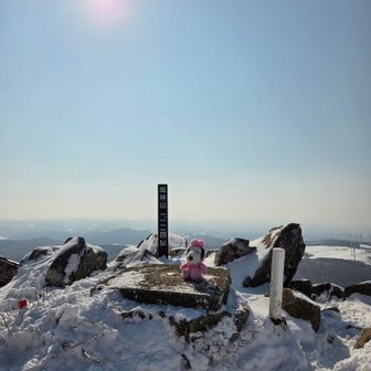 姫神山🗻
三角点🔺
独り占め✌️🐶