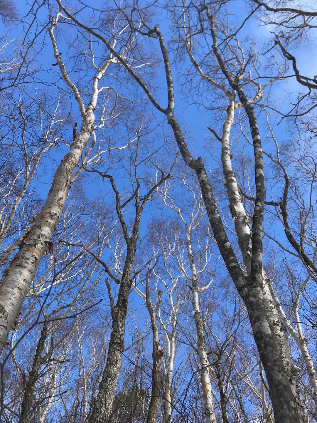 一瞬の青空