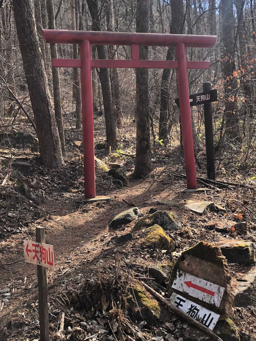 天狗山西峰 往復コースの写真