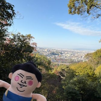 平等院が見える