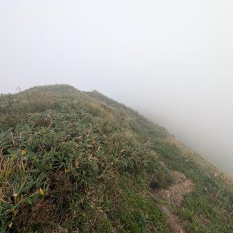 さて、一度下って大朝日岳へ