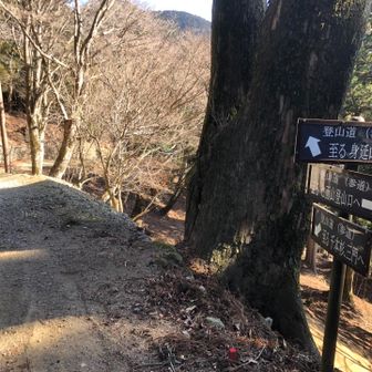 七面山へ行く分岐点