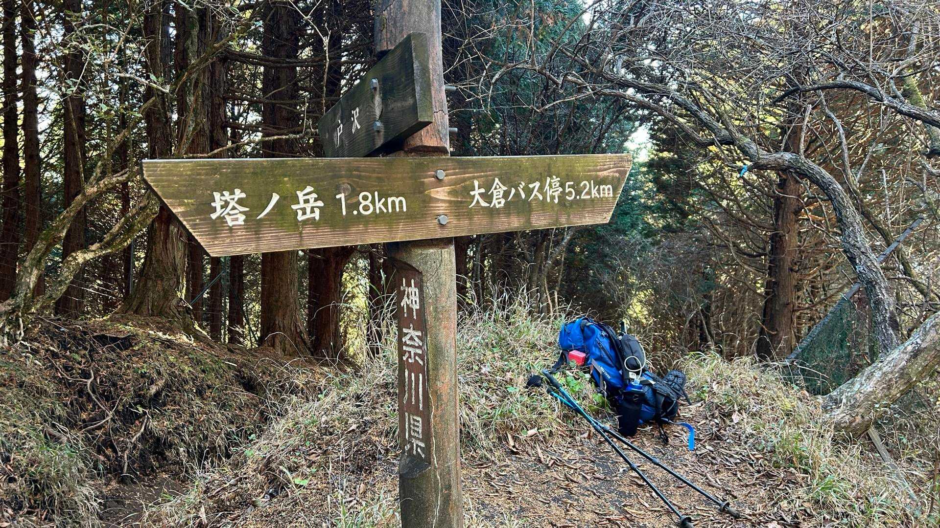 戸沢の出合登山口-塔ノ岳-日高-竜ヶ馬場-丹沢山 往復コースの写真