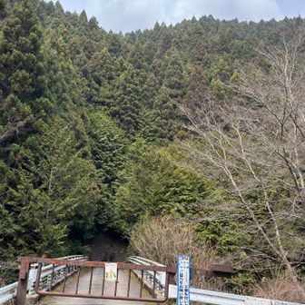 黒栂谷（くろとがたに）道に合流して車止まで降りて来ました