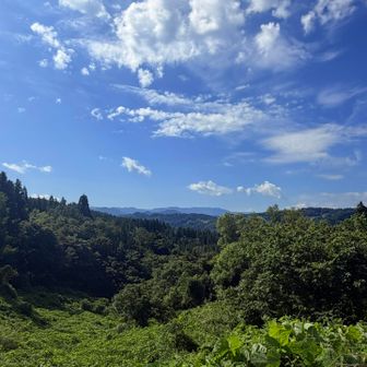 下りでもやっぱりいい景色だわ🙂