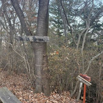 そして最後の15.諏訪岳。今日二つ目の栃木百名山です。