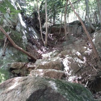 八合目を通過💦
中岳、朝日岳の分岐まで、もうひと登り✊