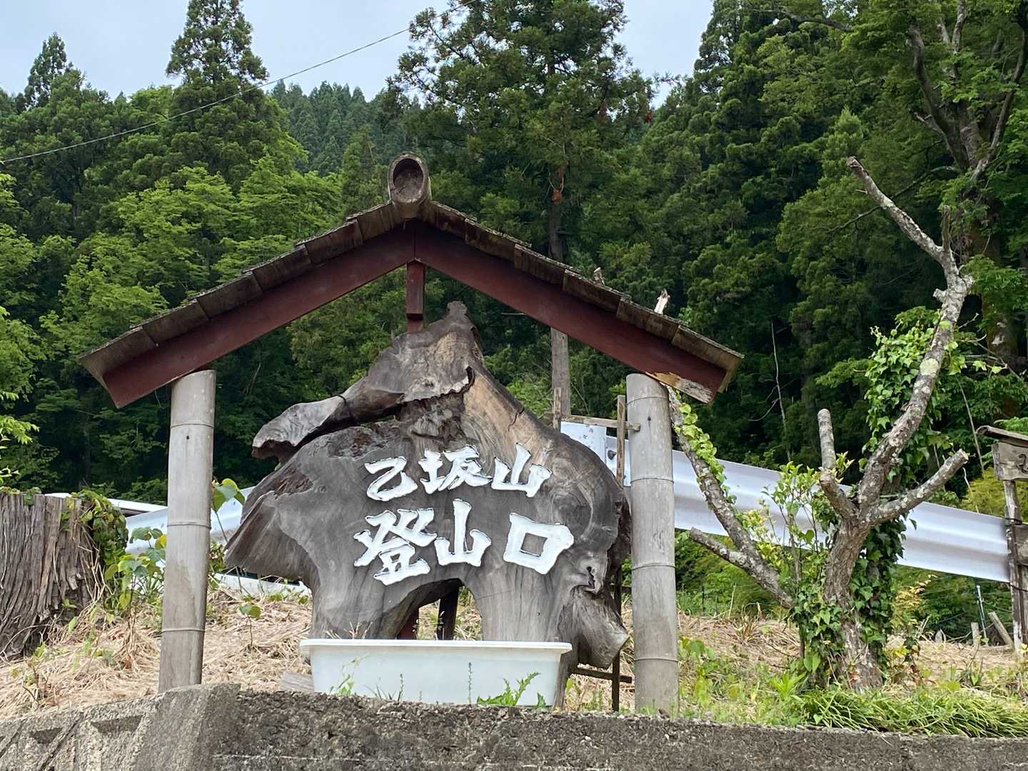 駐車場へ。神社との距離は　ちょっとでした。