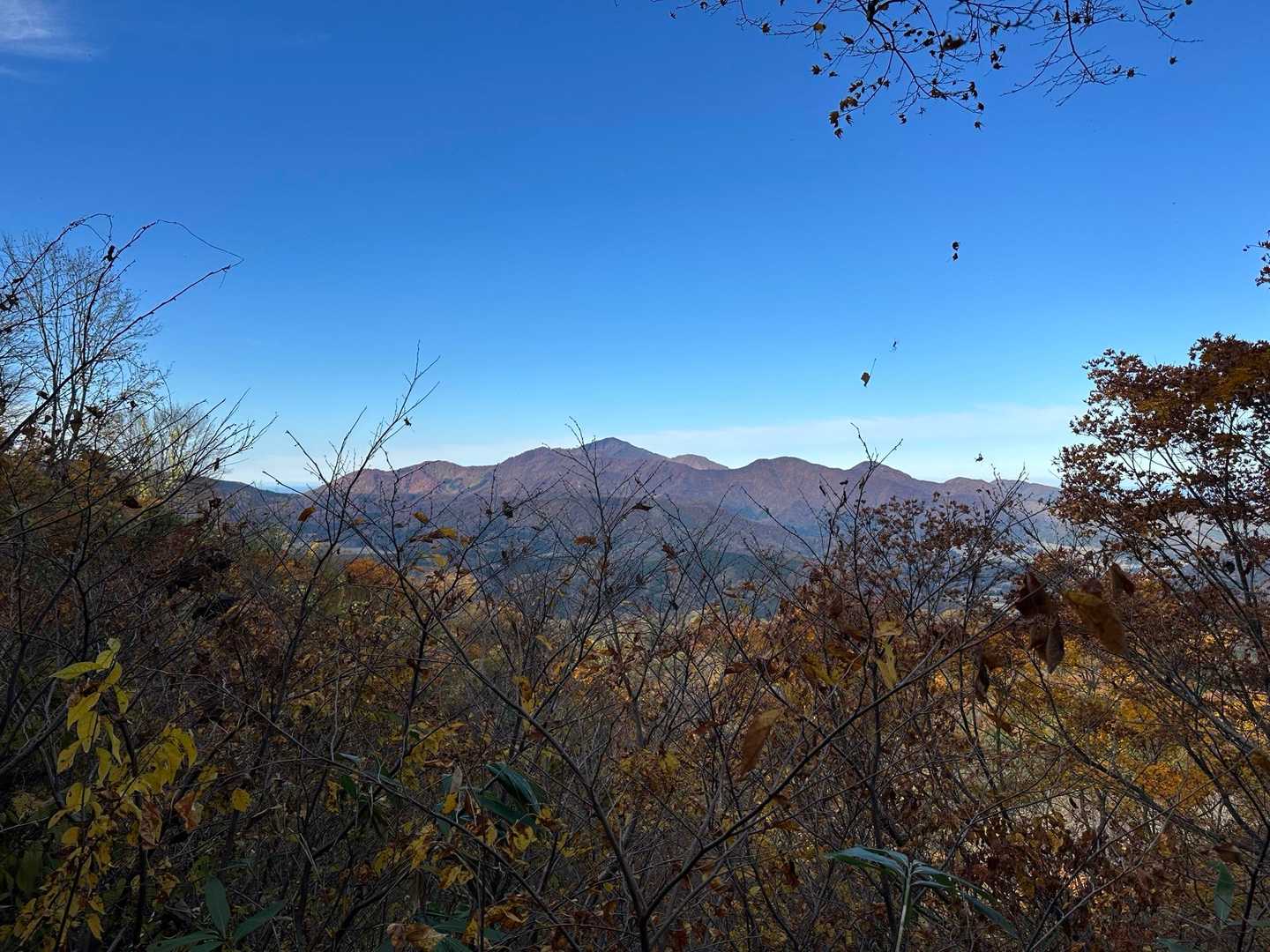 ちょっと開けたところから米山