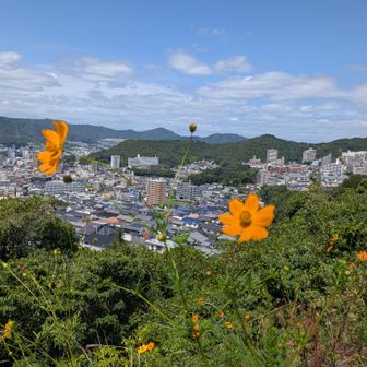 もっとええ感じに撮りたかった