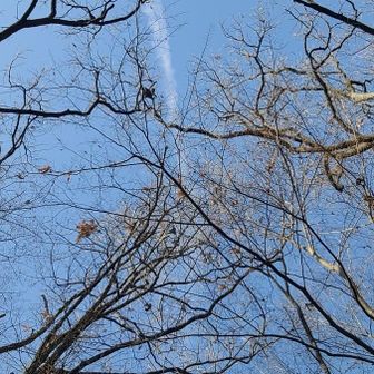 飛行機雲☁✈️