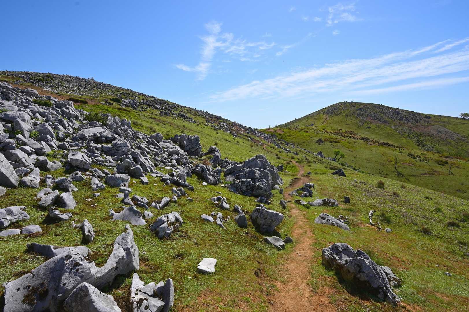 霊仙山～霊仙山最高地点間。