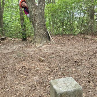 急登続く鶏冠山💦
三角点とうちゃーく❗