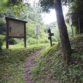 健脚コースとの分岐