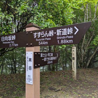岩場を通って(御坂)黒岳に到着
日本三百名山、山梨百名山です
この辺りでぽつぽつ登山者に会いましたが、思ったより人が少ない

「富士山見える場所」へは行かずに先に進んで