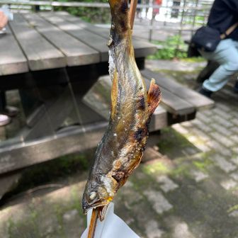 激うま鮎。焼き加減がプロ。
