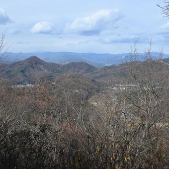 東京からは浦和インターから東北道に乗って1時間かけてここまで来ました。
