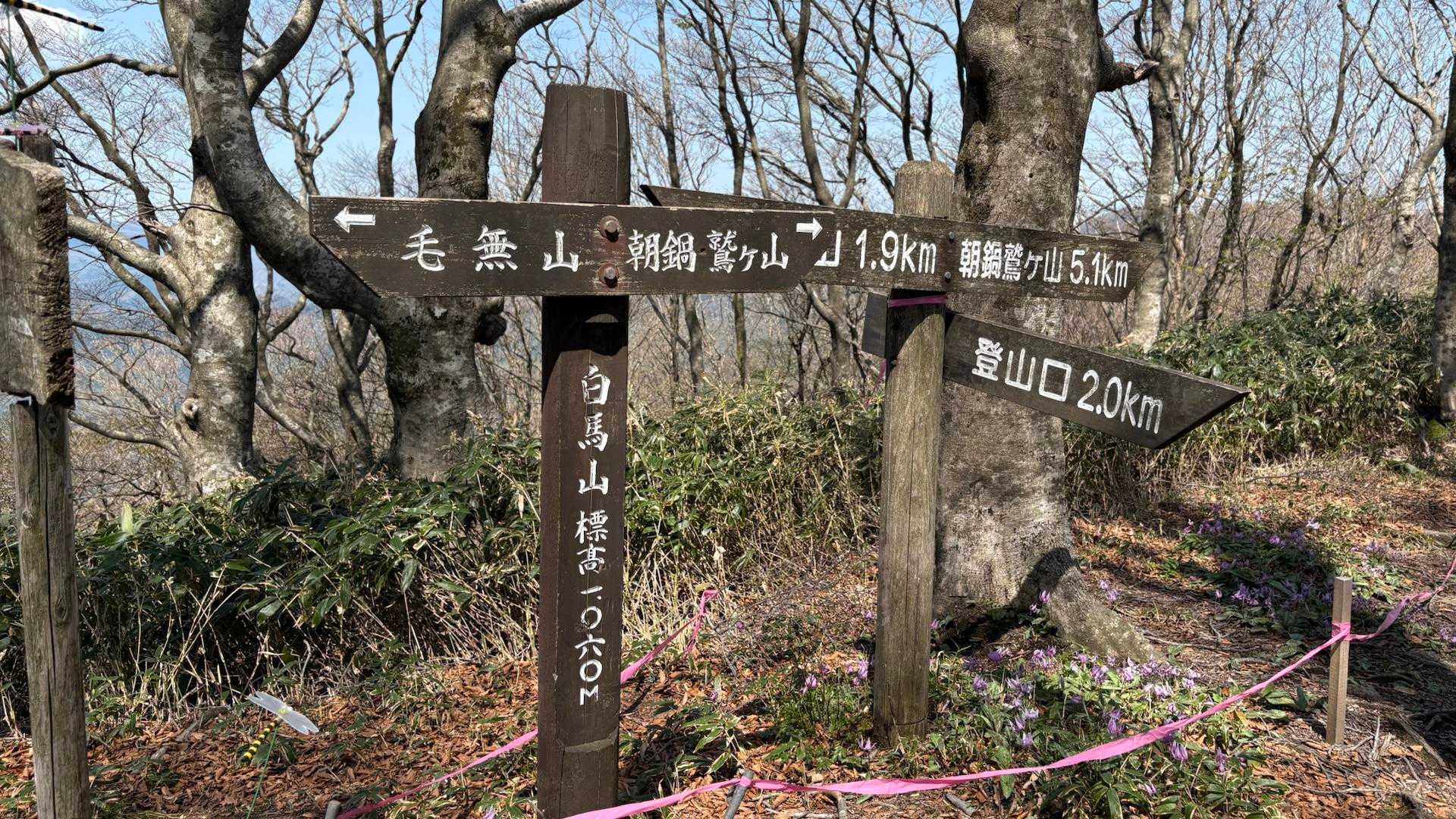 白馬山🎠着