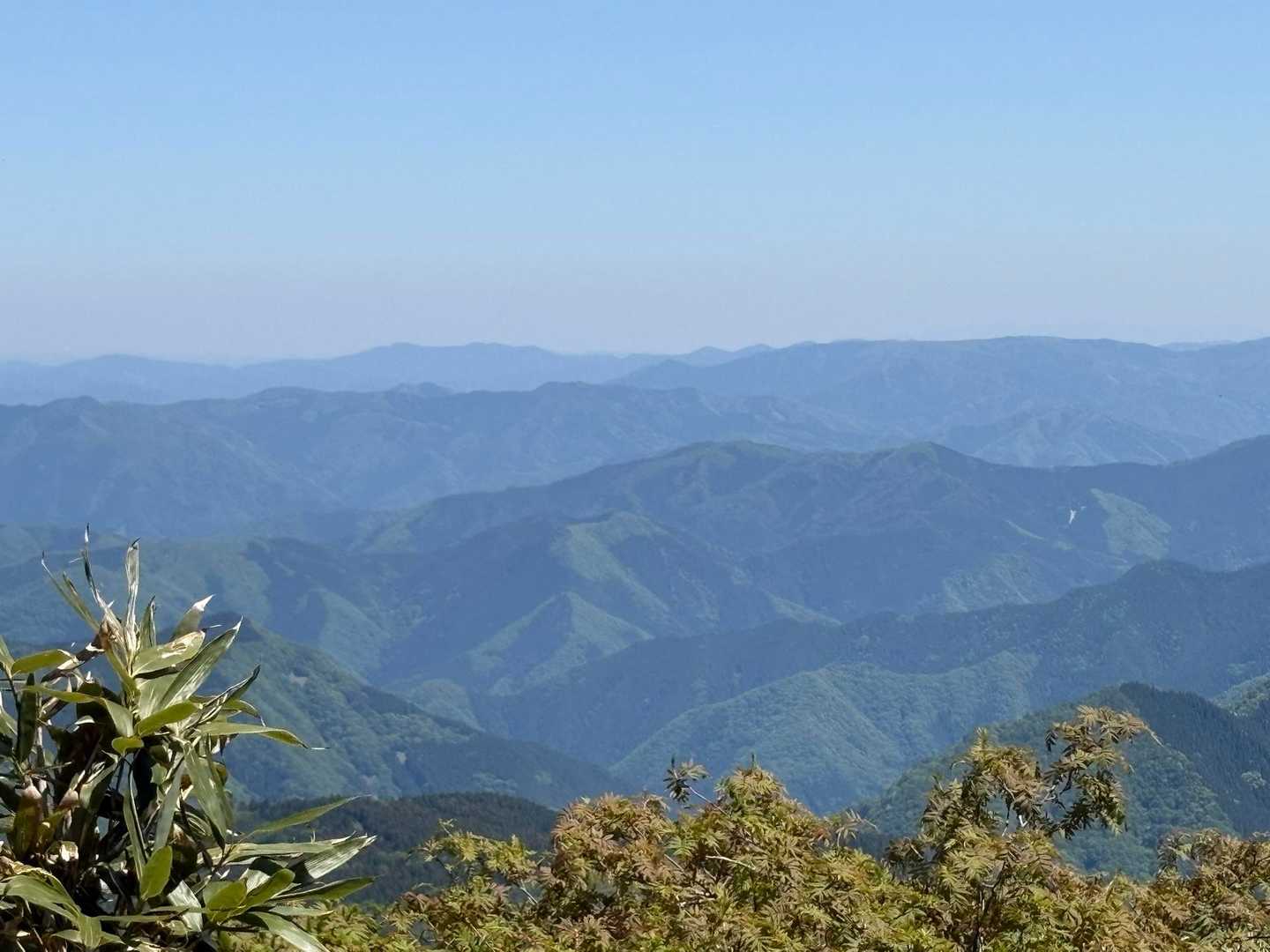大段ヶ平登山口-氷ノ山 往復コースの写真