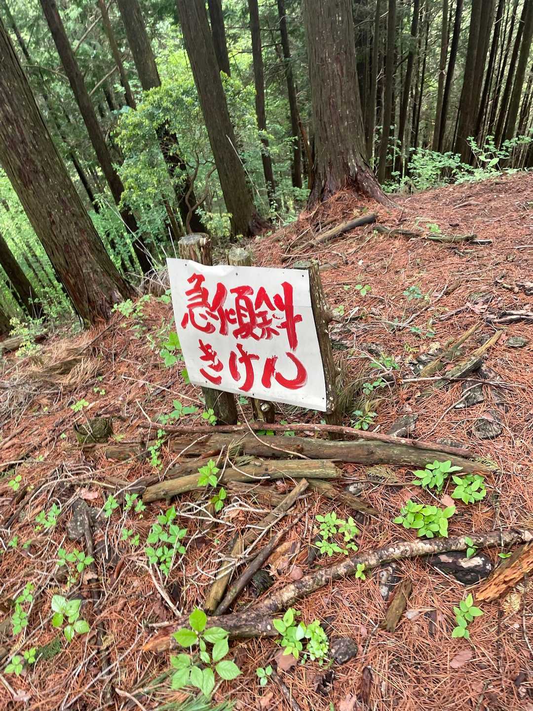これを下るのは確かに危険💦