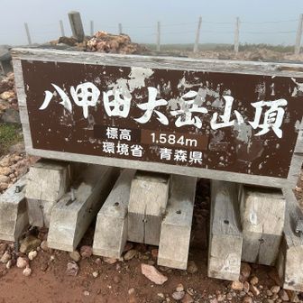 山頂1584m