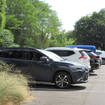 ただいま〜🚙
pic.6の答えは「あさいちばんはやいのは」の朝早い順🎵